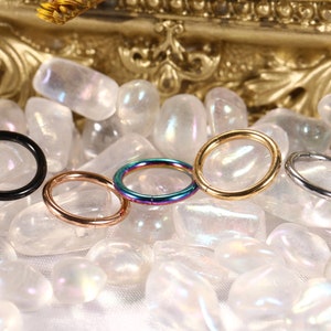 2 Stück Klapp Nasenringe Hoop 316L Chirurgenstahl Nahtlose Piercing Ringe für Nase Septum Knorpel Helix Tragus Conch Rook Daith