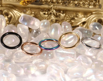 2pcs Hinged Nose Rings Hoop 316L Surgical Steel Seamless Piercing Rings for Nose Septum Cartilage Helix Tragus Conch Rook Daith