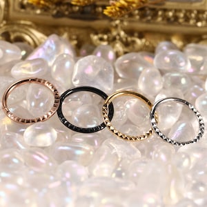 Hinged Segment Hoop Rings 316L Surgical Steel Nose Earring Hoop
