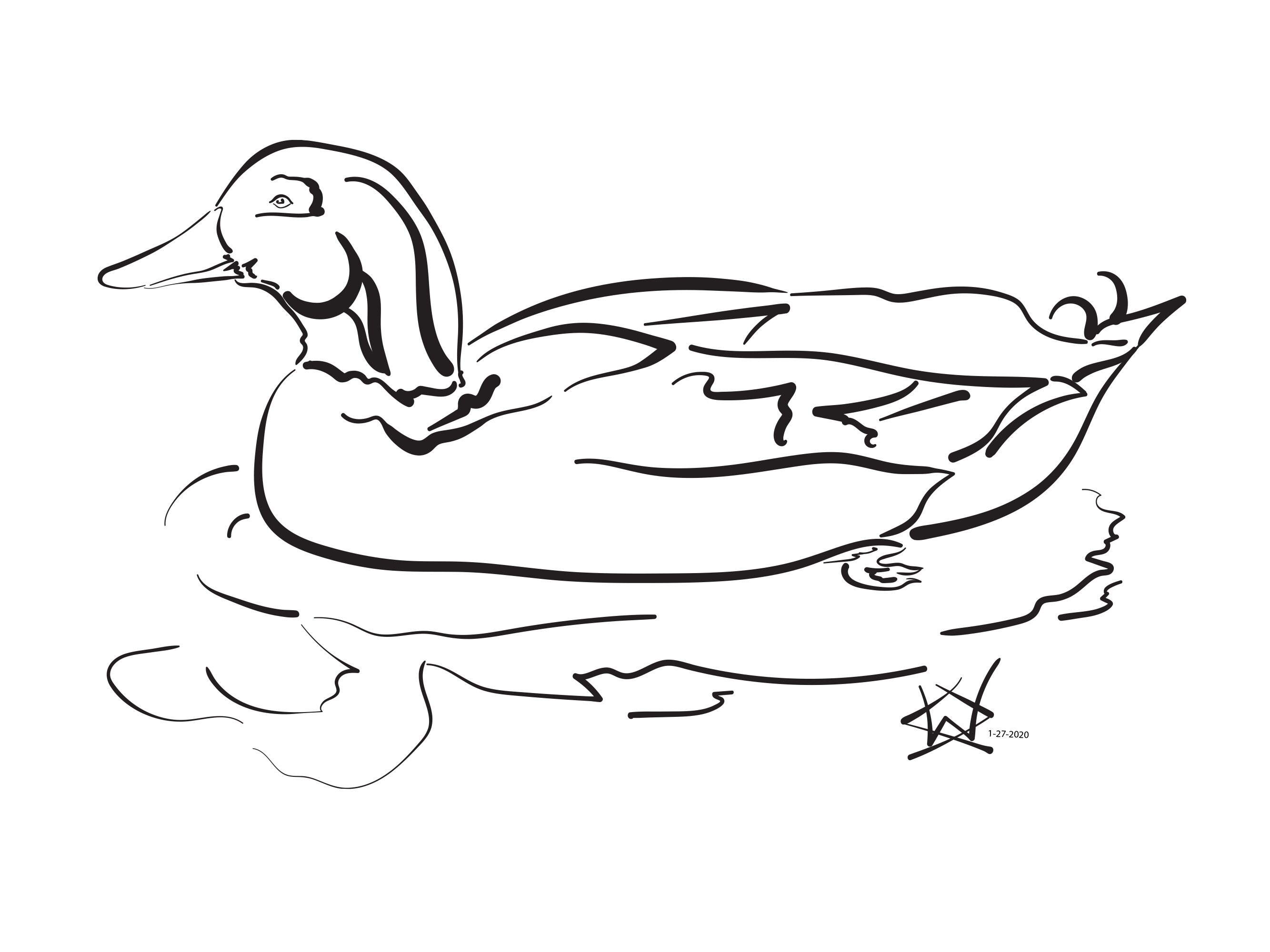 Green Headed Mallard Duck Line Trace Printable Download ...