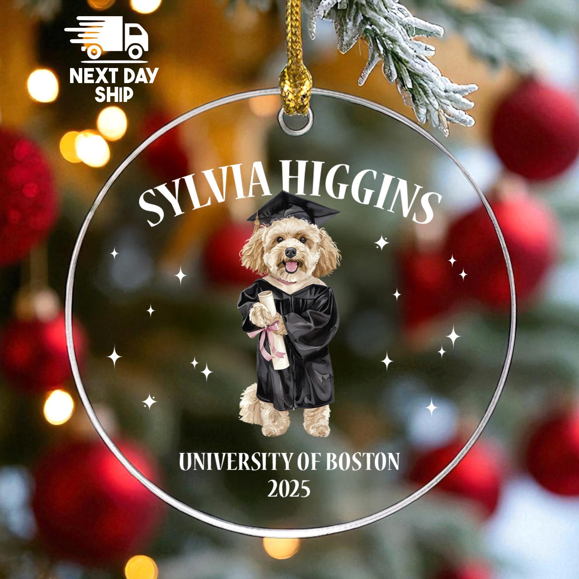Personalized Dog Graduation Ornament Class of 2025, Custom Pet Name University, Glass Ceramic Acrylic, Vet School Grad Gift