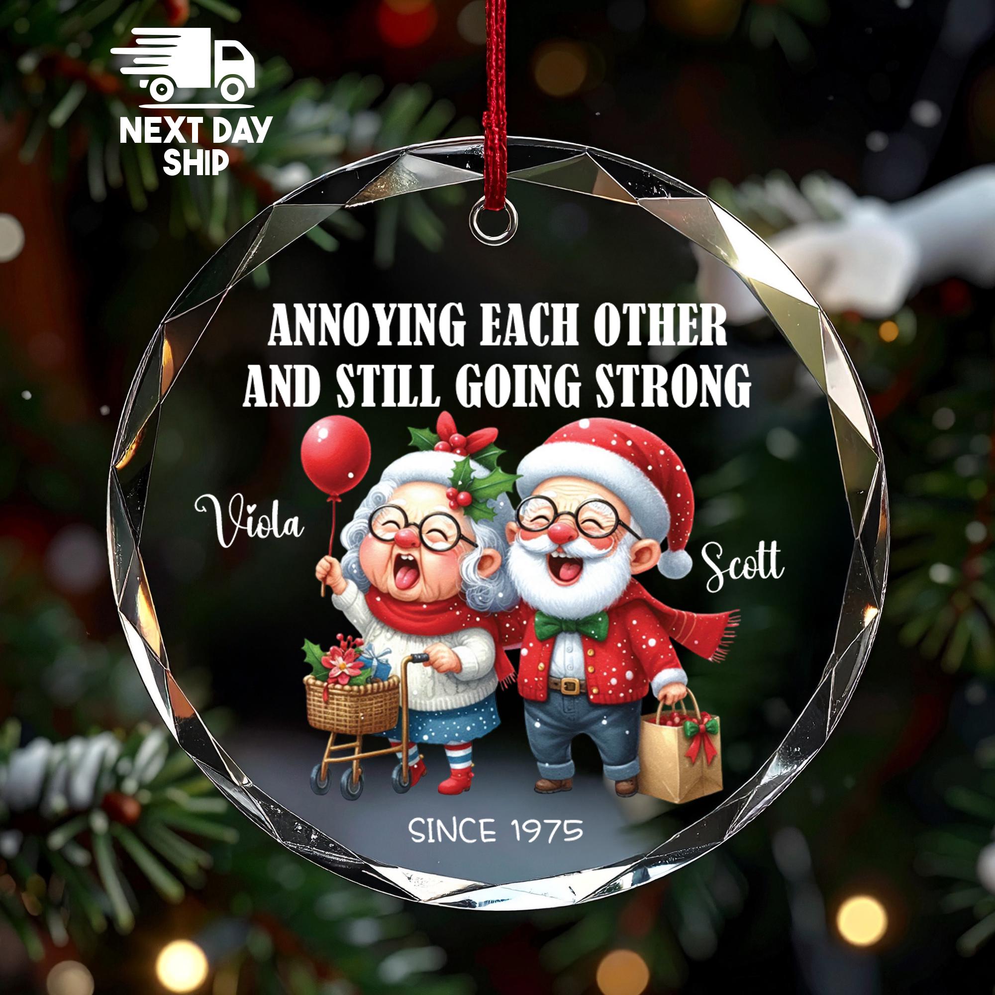 Funny Anniversary Ornament, Annoying Each Other Since Custom Year, Personalized Couple's Gag Gift, A Love Story with a Twist