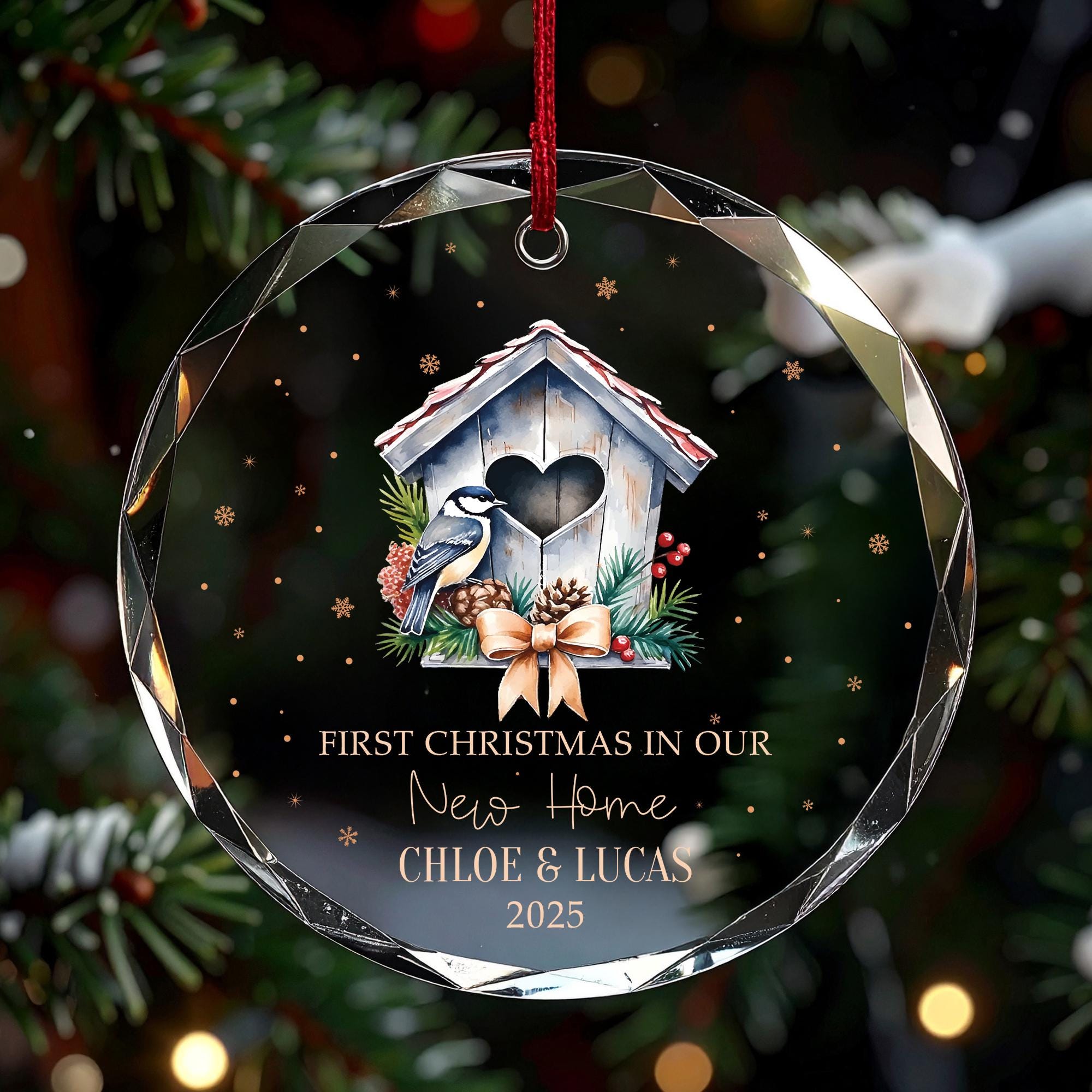 First Christmas in New Home Ornament 2025, Personalized Birdhouse Gift for Couple, Custom Names Keepsake, Glass Ceramic Acrylic
