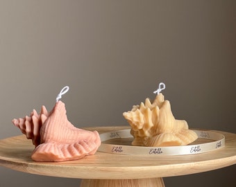 Vela de soja con forma de concha de almeja / Concha marina decorativa