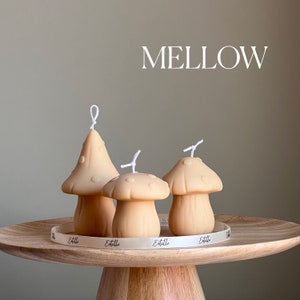 Cute Mushrooms Candle Set Cute Gift Cool Candle Soy Wax Candle Nursery Decor Homemade Candle Natural Candles Gift for HerUnique gift Mellow