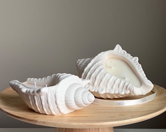 Conch Shell Soy Wax Candle | Jesmonite Container, Handmade
