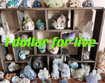 May include: A wooden shelf filled with various crystals and minerals, many of which are carved into hedgehog shapes. The text "1 dollar for live" is displayed in bright green across the image. The shelf is a dark brown color.