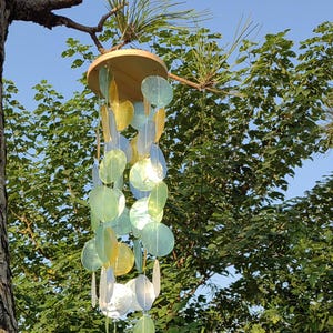 Multicolor Seashell Wind Chime, Tropical Seashell Wind Chime, Coastal Boho Beach Decor for Garden or Porch, Perfect Coastal Gift