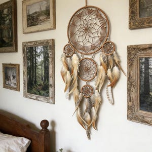 May include: A brown dreamcatcher with a woven circular design and hanging feathers. The dreamcatcher is displayed on a white wall, alongside framed landscape paintings. The design incorporates natural materials and a bohemian aesthetic.