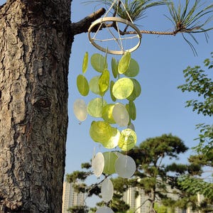 Green and White Seashell Wind Chime, Handmade Natural Shell Decor, Coastal Boho Chimes for Garden, Natural Green & White Shells  Decor