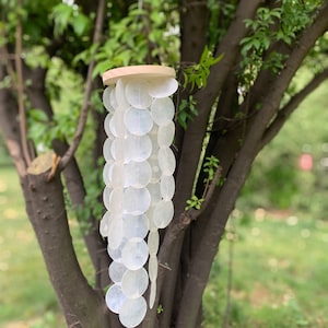 May include: A white shell wind chime with a wooden top hangs from a tree branch. The chime is made of many individual shells that are strung together in a cascading pattern.