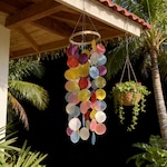 Shell Wall Decor