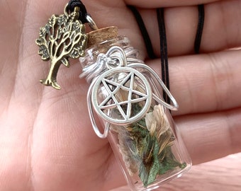 Hekserij ketting, spreuk pot ketting, spirituele focus spreuk ketting, spreuk fles ketting, Witchy sieraden, heidense ketting, Witchy geschenken