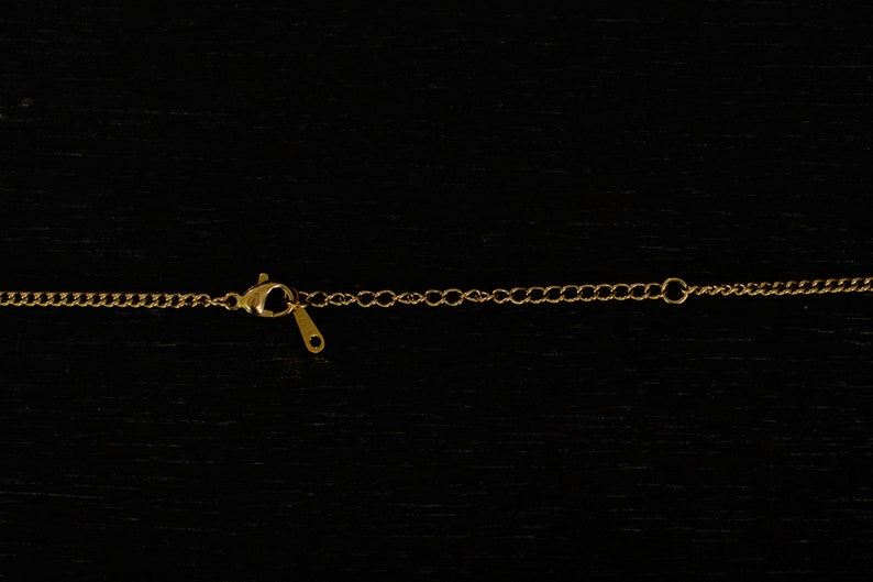 Antifascistiskt halsband | FCK NZS | Antifa | Guld och silver | Olika former och stängningar | Från Tyskland | Smycken bild 7
