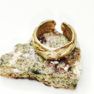 Può includere: Un anello d'oro con un designo testurizzato e organico. L'anello è appoggiato su un pezzo di corallo.