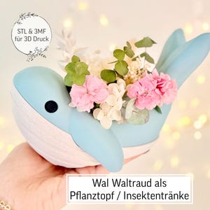 Puede incluir: Una maceta en forma de ballena azul claro llena de flores rosas y blancas y vegetación. La ballena tiene una base blanca y un ojo negro. El texto de la imagen dice "STL & 3MF für 3D Druck" y "Wal Waltraud als Pflanztopf / Insektentränke."