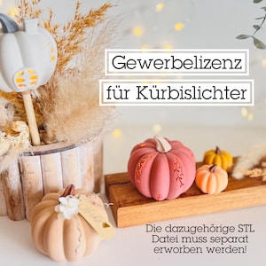 Könnte beinhalten: Eine Sammlung dekorativer Kürbisse in verschiedenen Größen und Farben, darunter Weiß, Pfirsich, Rosa und Orange. Einige Kürbisse befinden sich auf einem Holztablett, einer auf einem Holzstab. Der Text ist auf Deutsch.