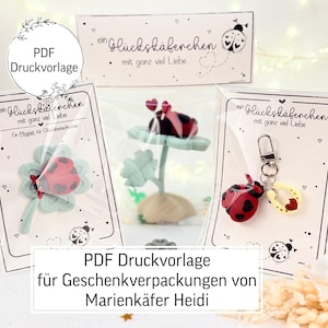 Op de afbeelding: Een verzameling cadeaus met een lieveheersbeestjesthema, waaronder een magneet, een sleutelhanger en een decoratief stuk. Elk item is verpakt in een doorzichtige zak en wordt weergegeven op een witte achtergrond. De afbeelding bevat ook Duitse tekst, die een PDF-sjabloon voor cadeauverpakkingen aangeeft.