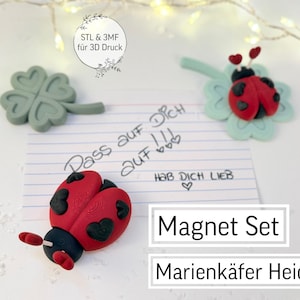 May include: A magnet set featuring a red and black ladybug, a four-leaf clover, and a note with handwritten text. The ladybug has black spots and is on a light green clover. The text on the note says "Pass auf Dich auf!!! Hab Dich Lieb".