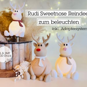 Digital STL file Rudi Sweetnose Reindeer Adapter System | Light Decoration | Flower Sticks | Christmas | Advent