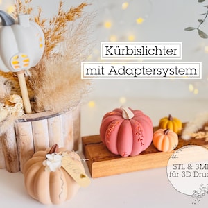 Peut inclure: Plusieurs citrouilles décoratives de différentes tailles et couleurs, dont blanc, pêche, rose et orange. L'une des citrouilles est éclairée. Le texte "Kürbislichter mit Adaptersystem" est visible.