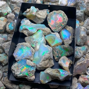 Op de afbeelding: Een verzameling ruwe opalen in een zwarte bak. De opalen vertonen een verscheidenheid aan kleuren, waaronder blauw, groen en rood, met een glinsterend, iriserend effect. De opalen zijn omgeven door ruw, grijs gesteente.