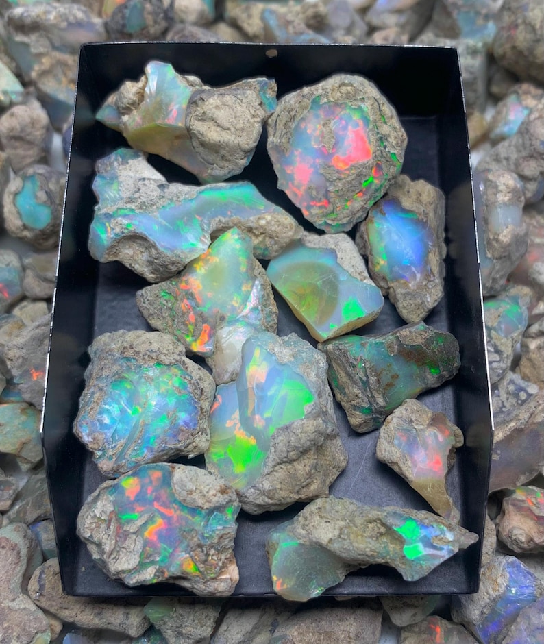 Op de afbeelding: Een verzameling ruwe opaal edelstenen in een zwarte bak. De opalen vertonen een verscheidenheid aan kleuren, waaronder iriserende flitsen van blauw, groen, rood en geel. De opalen zijn geplaatst tegen een achtergrond van kleinere, vergelijkbare stenen.