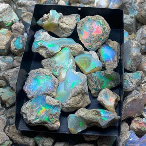 Op de afbeelding: Een verzameling ruwe opalen in een zwarte bak. De opalen vertonen levendige kleuren, waaronder blauw, groen en rood, met een kleurenspel-effect. De opalen zijn omgeven door een grijze rotsmatrix.