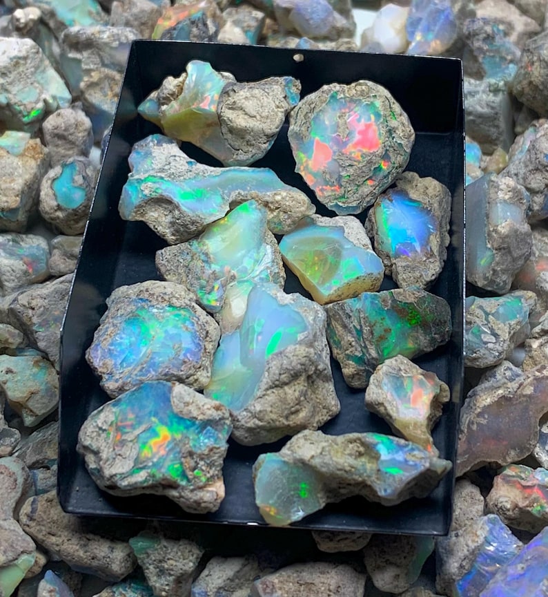 Op de afbeelding: Een verzameling ruwe opalen in een zwarte bak. De opalen vertonen levendige kleuren, waaronder blauw, groen en rood, met een kleurenspel-effect. De opalen zijn omgeven door een grijze rotsmatrix.