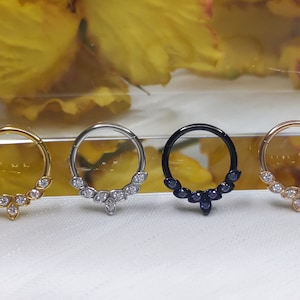 316L Surgical Steel CZ Hinged Segment Hoop Ring