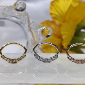 Hinged Segment Hoop Ring 316L Surgical Steel CZ Nose Earring Hoop