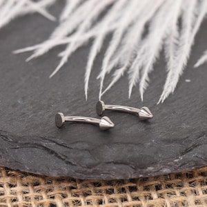 May include: Two silver-colored eyebrow piercing jewelry pieces. Each curved barbell has a flat disc on one end and a conical spike on the other. The jewelry is displayed on a dark, textured surface with white, feathery accents.