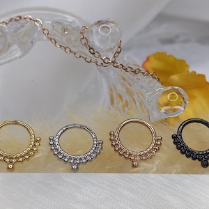 Hinged Segment Hoop Ring 316L Surgical Steel Nose Earring Hoop