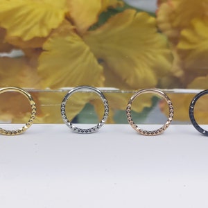 Hinged Segment Hoop Rings 316L Surgical Steel Nose Earring Hoop