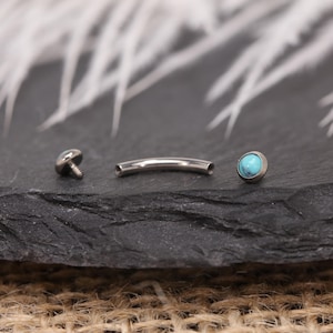16G 18G Turquoise Blauwe Wenkbrauw Piercing Disc Gebogen Barbell G23 Titanium Goud Zilver Binnendraad Minimalistische Lichaamssieraden