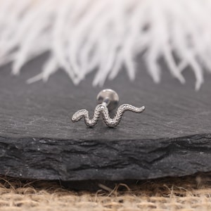 Può includere: Un orecchino a forma di serpente color argento. L'orecchino presenta un design dettagliato e strutturato che imita le squame di un serpente. L'orecchino è posto su uno sfondo grigio scuro con piume bianche sullo sfondo.