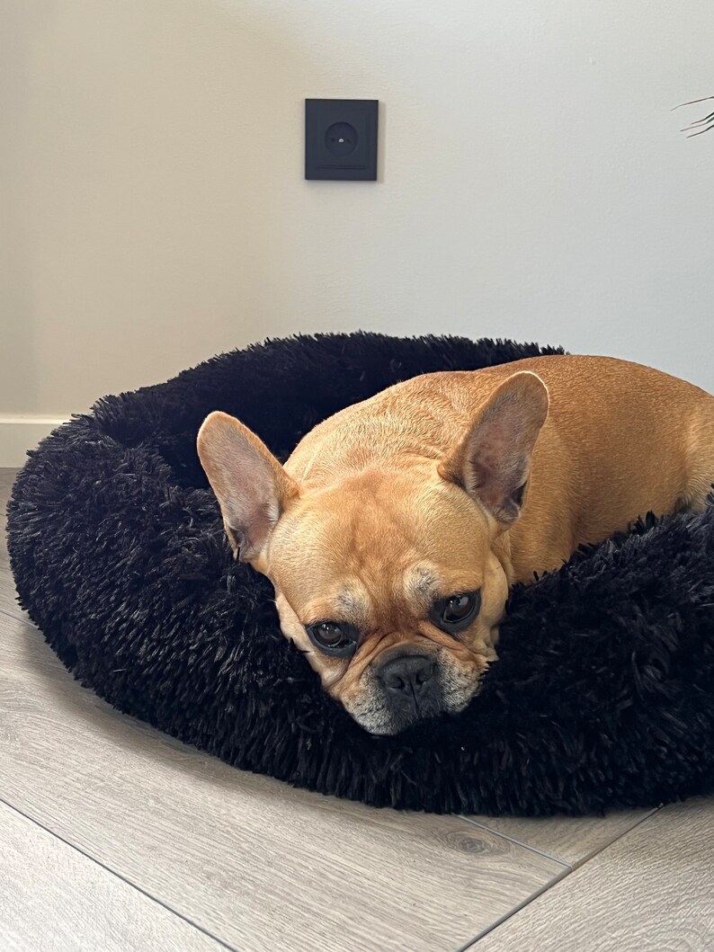 Pet Donut Bed for Dog and Cat Fluffy Dog Bed Washable Pet Etsy