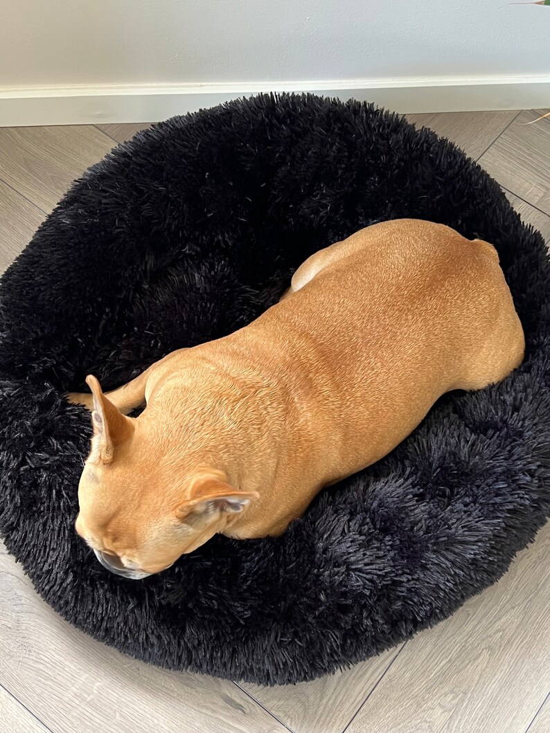 Pet Donut Bed for Dog and Cat Fluffy Dog Bed Washable Pet Etsy