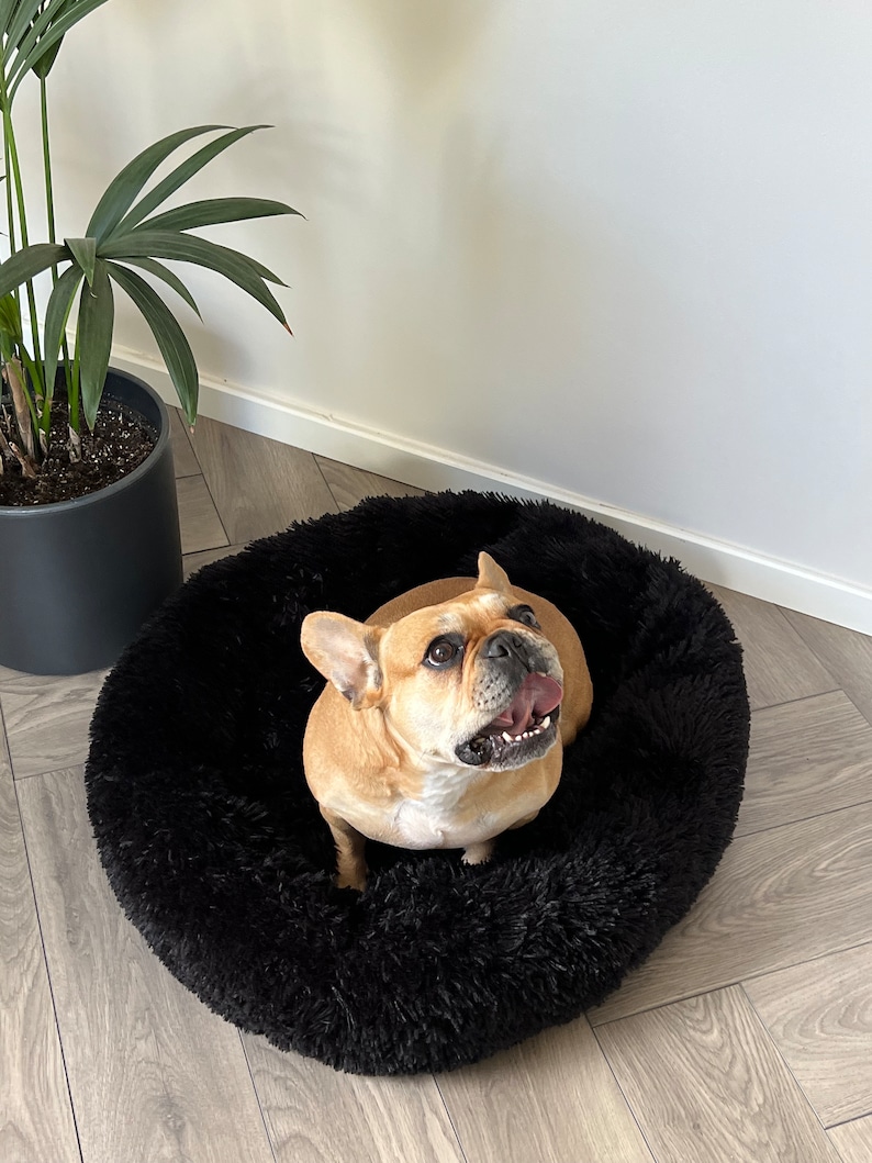 Pet Donut Bed for Dog and Cat Fluffy Dog Bed Washable Pet Etsy