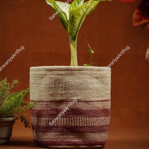 Puede incluir: Una planta verde con variegación blanca en una maceta tejida con un patrón de rayas marrones y blancas. La maceta está hecha de fibras naturales y tiene un aspecto rústico.