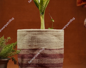 May include: A green plant with white variegation in a woven pot with a brown and white striped pattern. The pot is made of natural fibers and has a rustic look.