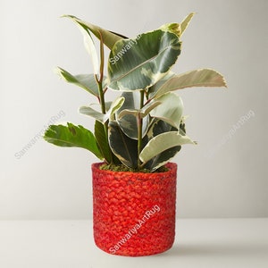 ジュートフラワーポット3個セット | ガーデニングギフト | 植物愛好家向けジュートフラワーポット | 手作りバスケットプランター | バスケット室内プランター | プランターポットギフト