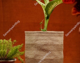 May include: A green plant with variegated leaves is potted in a brown and beige striped woven jute planter. The planter is sitting on a red surface.