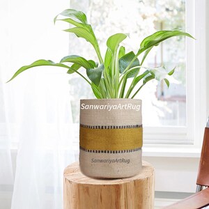 May include: A potted plant with large green leaves in a cylindrical beige planter. The planter has a wide yellow band with black stripes and the text "SanwariyaArtRug". The planter sits on a wooden stump.
