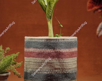 May include: A green plant with white variegation in a woven striped planter. The planter has bands of gray, beige, pink, and green.
