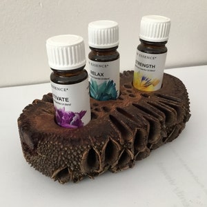 Puede incluir: Tres botellas de aceite esencial etiquetadas como "Activate", "Relax" y "Strength" se encuentran en un soporte marrón texturizado. Las botellas son de vidrio ámbar oscuro con tapas y etiquetas blancas. El soporte está hecho de una vaina seca.