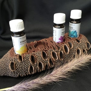 Op de afbeelding: Drie kleine flesjes etherische olie met witte doppen worden getoond in een bruine, getextureerde, natuurlijke houten houder. De flesjes zijn gelabeld met "Strength", "Mother" en "Relax". Een gedroogde, veervormige plantenstengel staat op de voorgrond. De achtergrond is zwart.