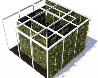 May include: A white metal frame structure with a green leafy plant growing inside. The frame is divided into sections, creating a cube-like shape. The plant is growing up the sides of the frame, creating a green wall.