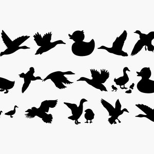 16 Coleção de Patos SVG PNG EPS Pacote de Patos Vários Patos Gravura Adesivos Copos Silhueta Cricut