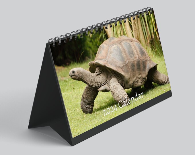 Tortoise Desk Calendar 2024 Desktop Calendar Tortoise Calendar 2024